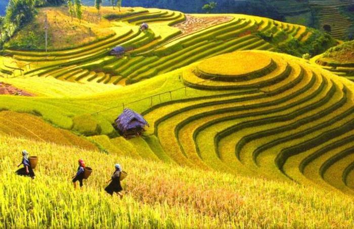 Hong Minh Guesthouse Mu Cang Chai Exteriör bild